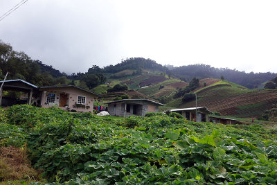 Cerro Punta view.jpg