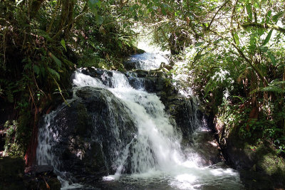 Tres Cascadas hike.jpg