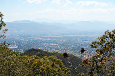 Oaxaca from Monte Alban.jpg