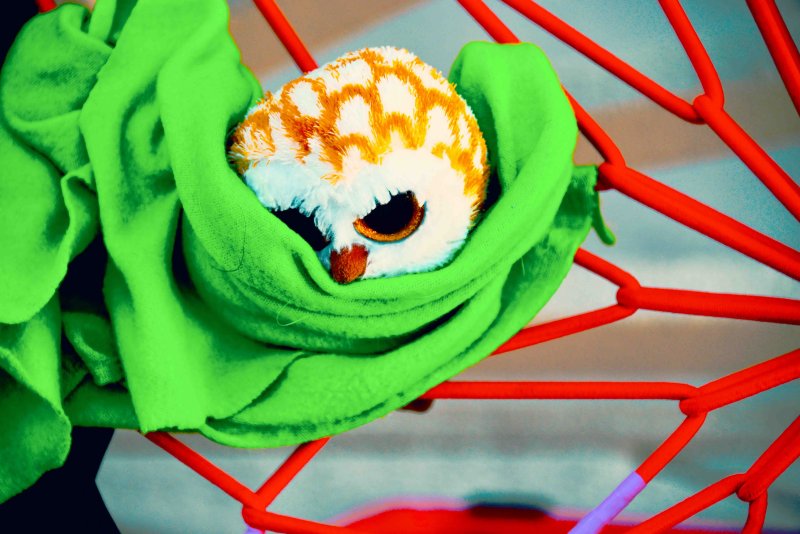 owl.tif