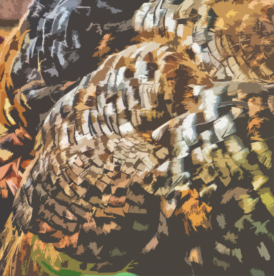 turkey_edited-1.jpg