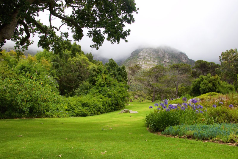 35.KIRSTENBOSCH BOTANICAL GARDENS-CTOWN.jpg