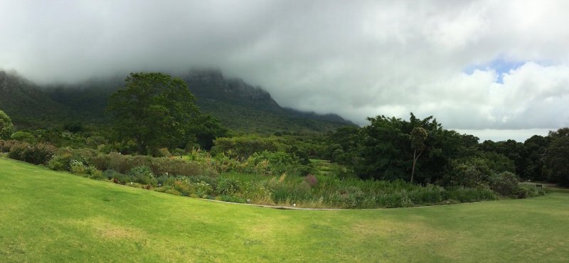 42.KIRSTENBOSCH BOTANICAL GARDENS-CTOWN.jpg