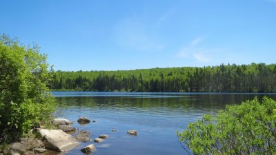 g9/73/985073/3/152253176.6SfffqN0.jpg