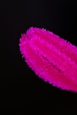 Pistil 4x
