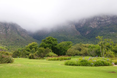 38.KIRSTENBOSCH BOTANICAL GARDENS-CTOWN.jpg