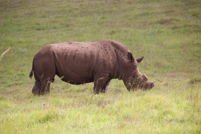 80.SCHOTIA SAFARIS PRIVATE RESERVE-EASTERN CAPE.jpg