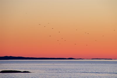 From Trondheim to Rrvik