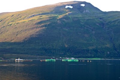 From Troms to Skjervoy