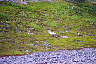 From Mehamn to Troms