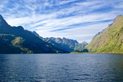 Sea eagles and the Trollfjord