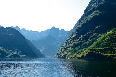 Sea eagles and the Trollfjord