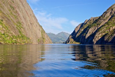 Sea eagles and the Trollfjord