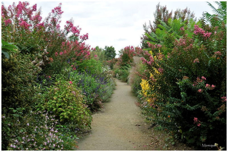 Une belle promenade fleurie