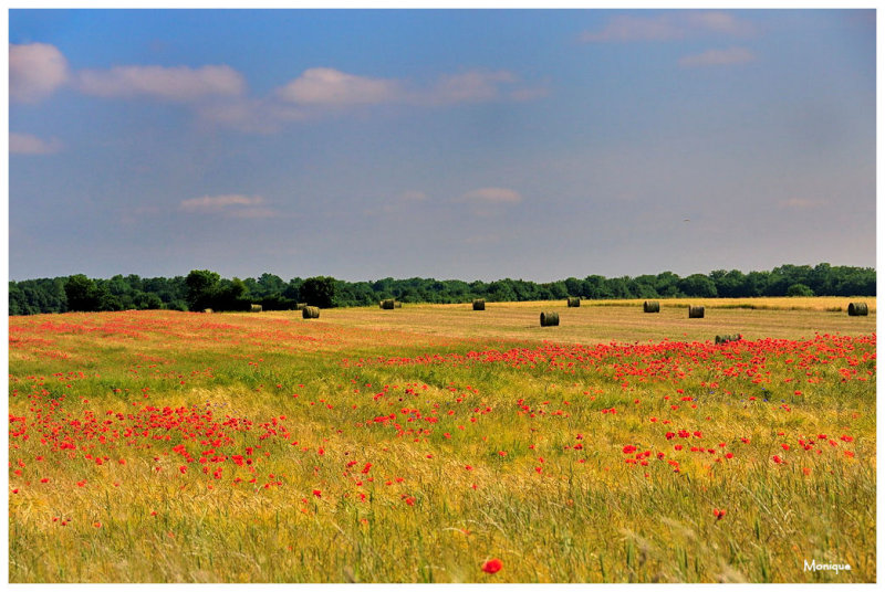 Le Morvan