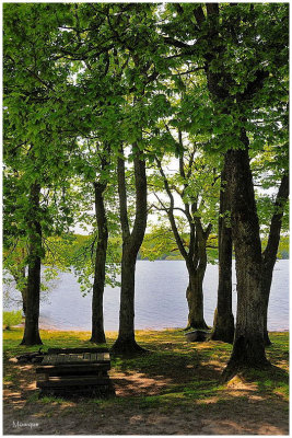 Le Lac de Bouzey