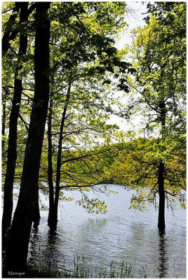 Le Lac de Bouzey