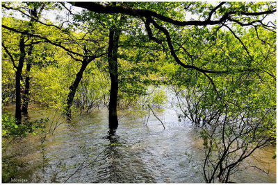 Le Lac de Bouzey