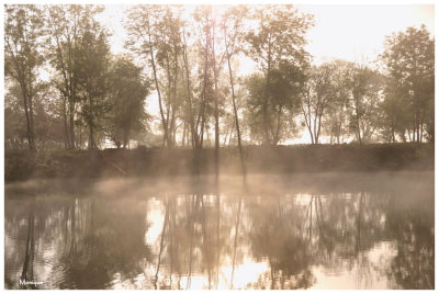 Brume matinale en Côte d'Or