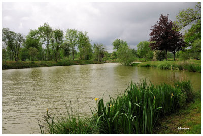 La Côte d'Or