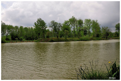 La Côte d'Or
