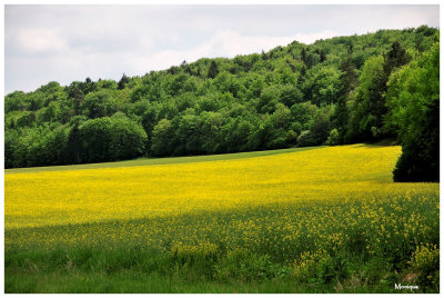 Paysage de l'Aube