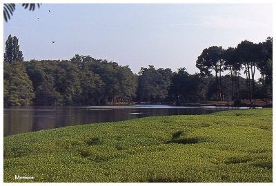 Lac Landais