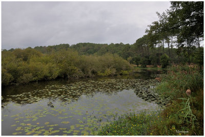 Lac Landais