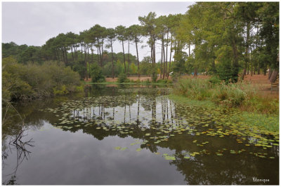 Lac Landais