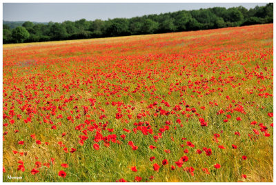 Le Morvan