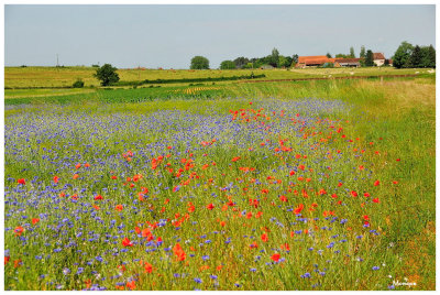 Le Morvan