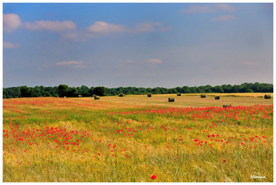 Le Morvan