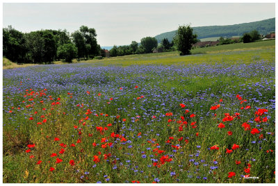 Le Morvan