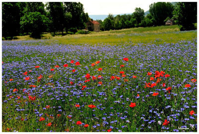 Le Morvan
