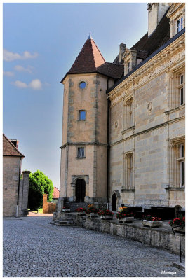 Chateau de Chailly sur Armançon