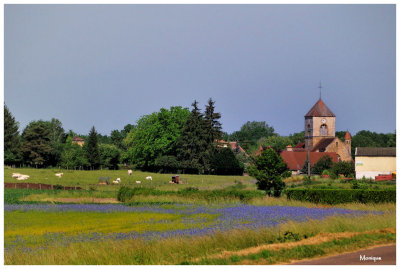 Paysage de l'Auxois