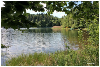 Lac de Pierre-Perce