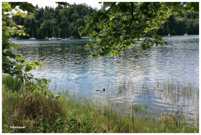 Lac de Pierre-Perce