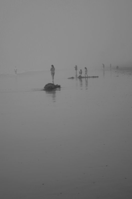 FoggyBeach3556