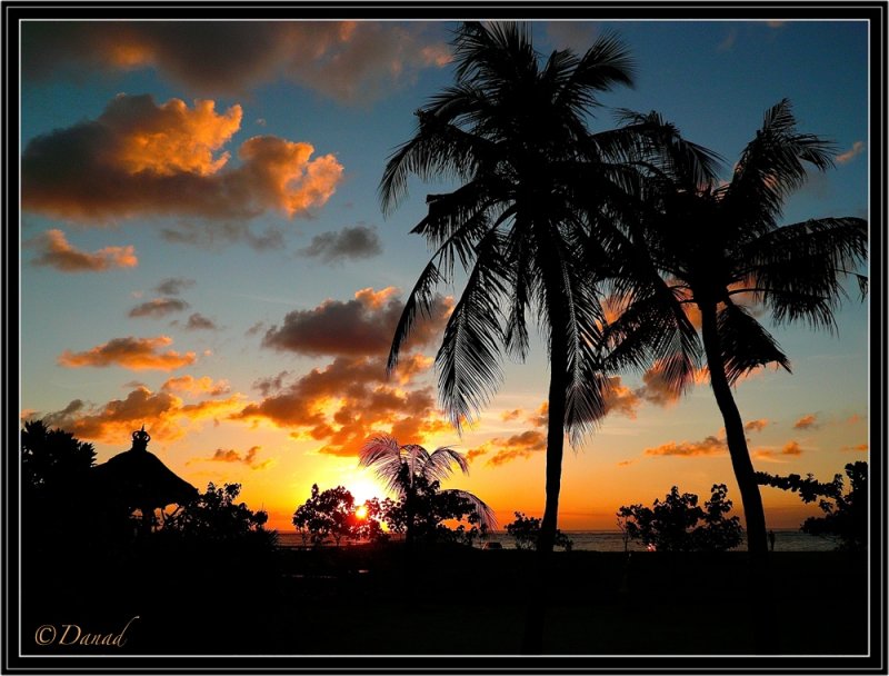 On An Island. (Bali IV)