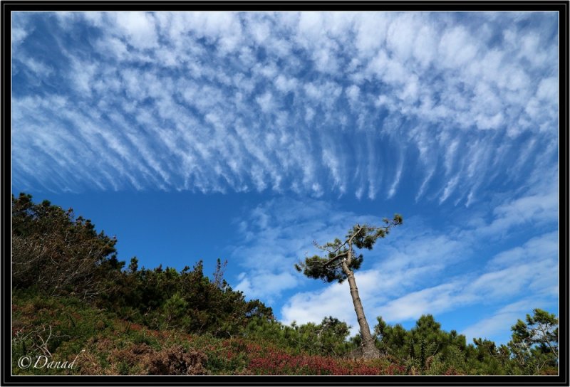 Beyond The Brittany Sky.