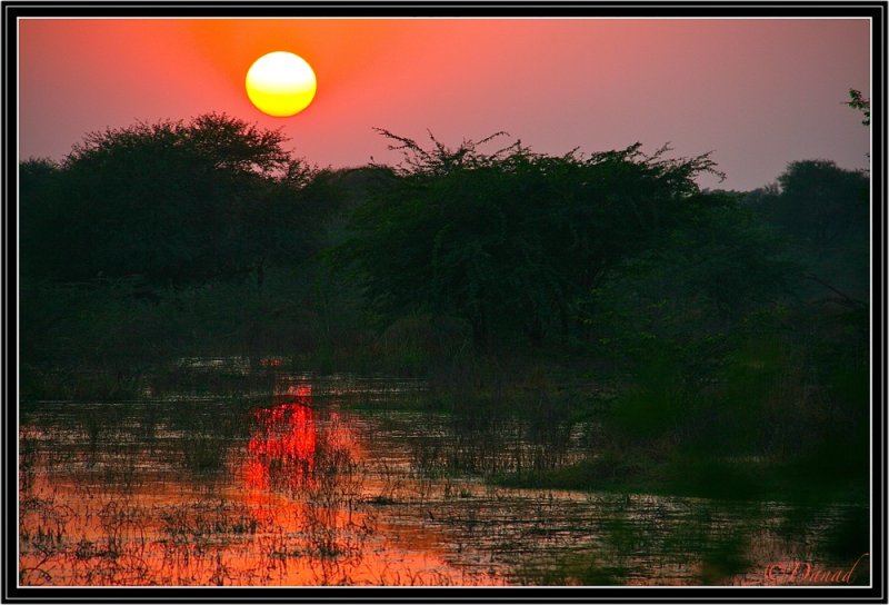 Ghost Towns and Deserted Cities. (Tales from India IV).