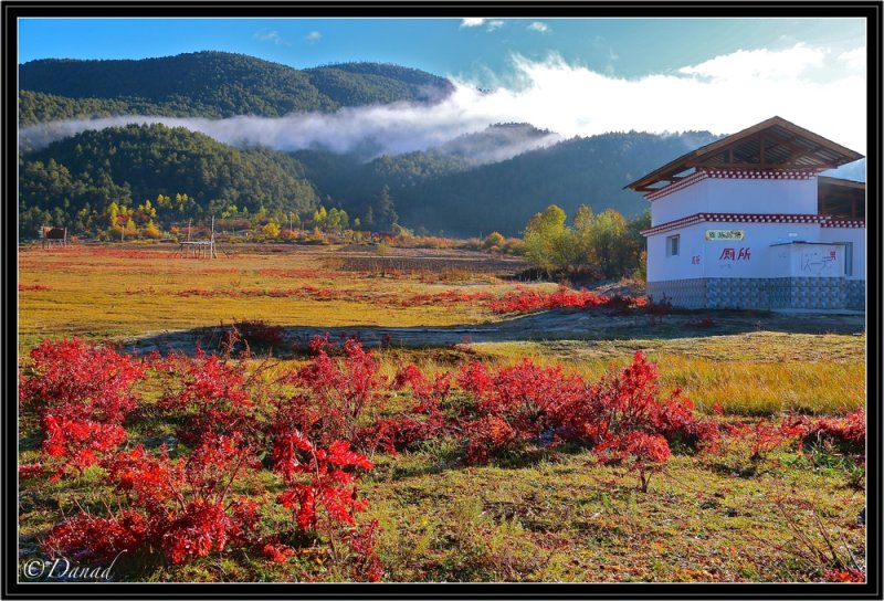 The Tibetan Plateau.