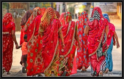 The Procession of Saris. Dundlod (Shekawati).