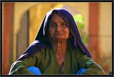 An Old Woman in Jaisalmer Spending Time...