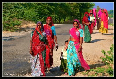 On the road to Jojawar.