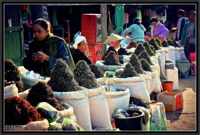 Kengtung - The Tea Market.