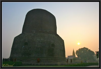 Strange Dhamekh Stupa at sunset. Sarnath.