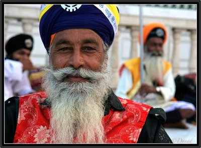 A Sikh Dressed up for a Ceremony. Delhi.