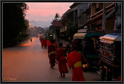 Monks back from collecting Alms in the dawning day. Luang Prabang.